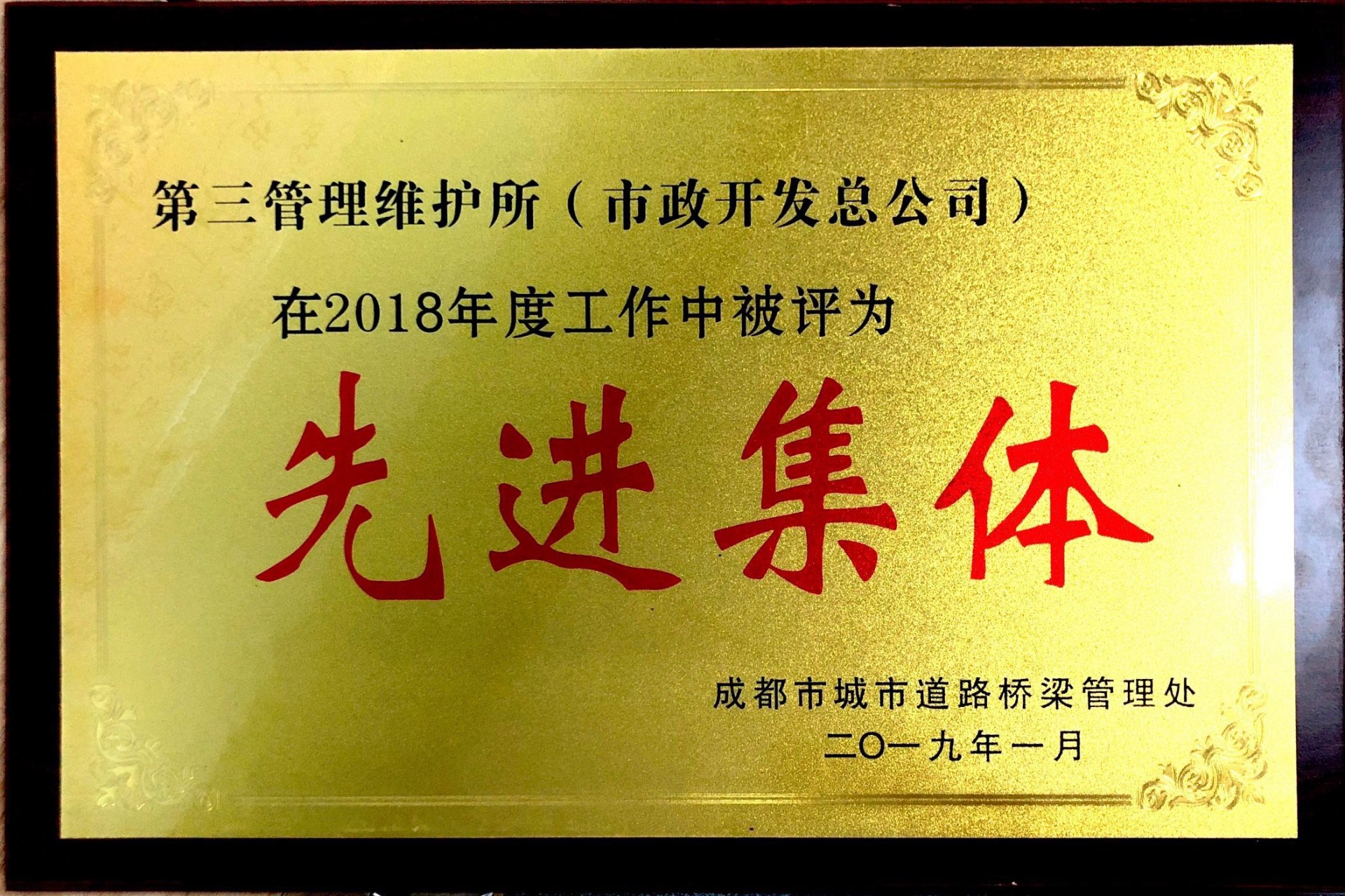 公开信息按发布时间滚动