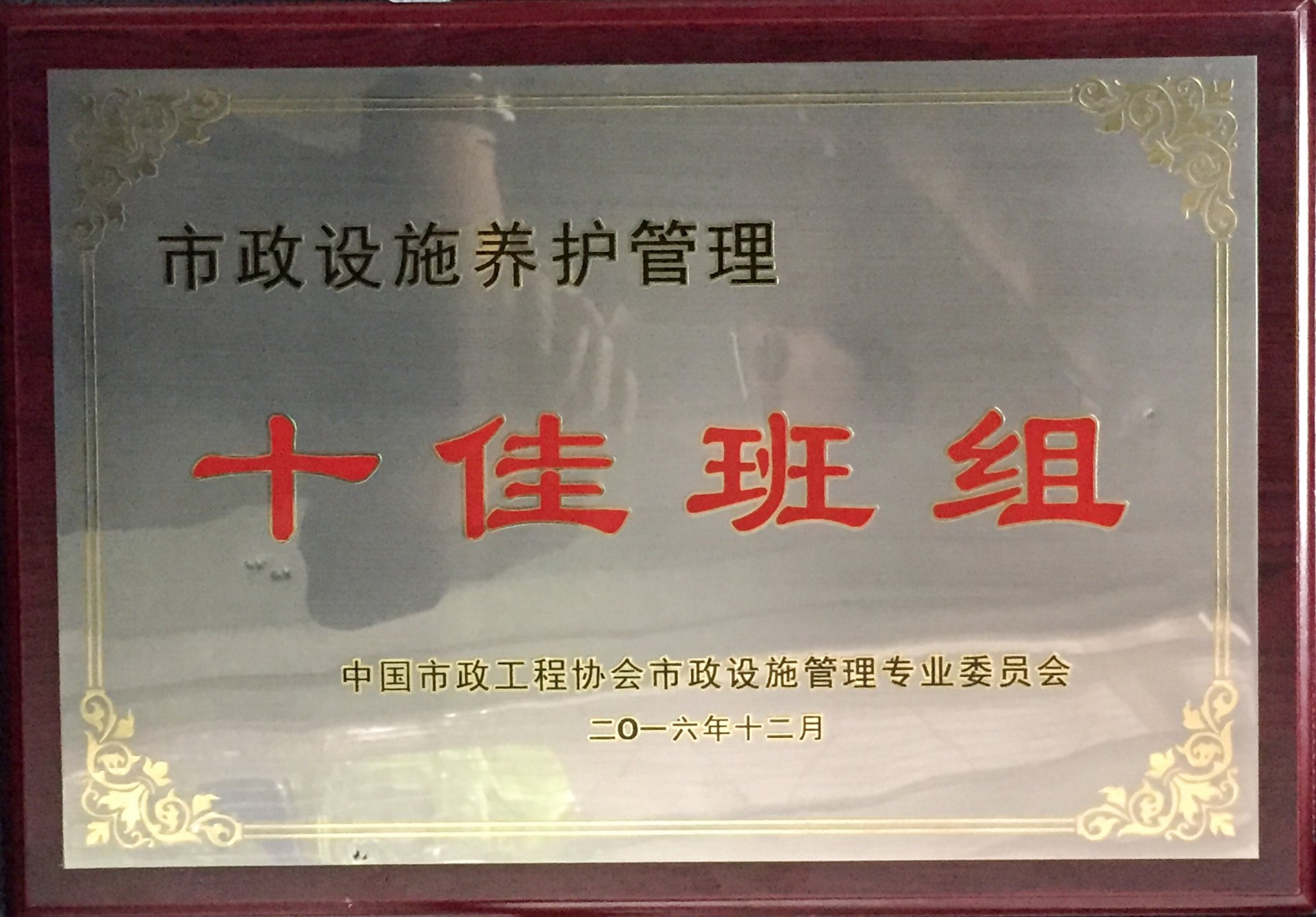 同栏目条目通常按时间倒序排列