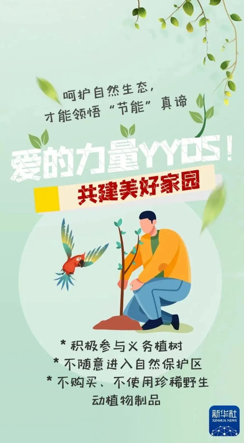 节能降碳